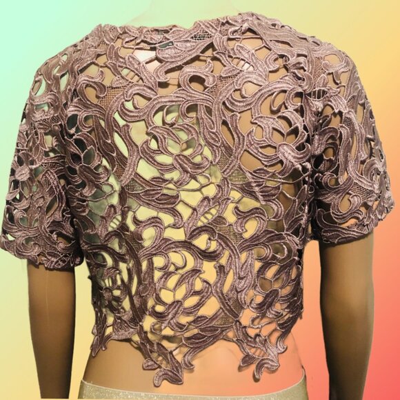 JESS C. Blush Champagne Floral Guipure Lace Short Sleeve Crop Top Blouse Sz 4 - Picture 6 of 6